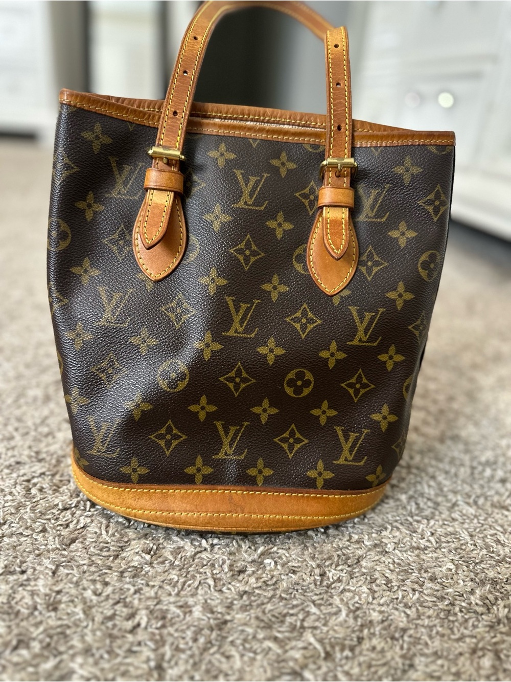 Vintage Louis Vuitton Monogram Petit Bucket Bag